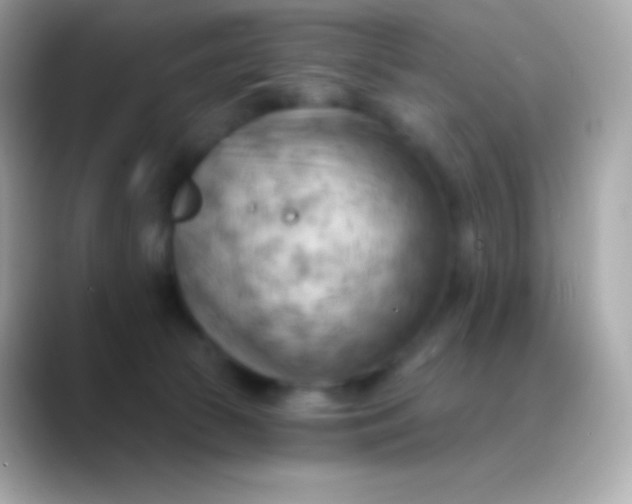 X0000088490177200706051425