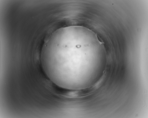 X0000088490178200706051425