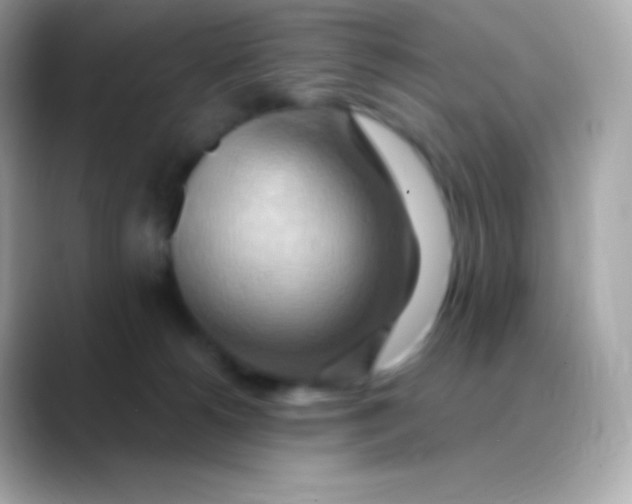 X0000088490180200706051425