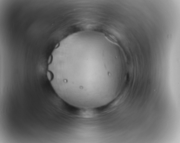 X0000088490181200706051425