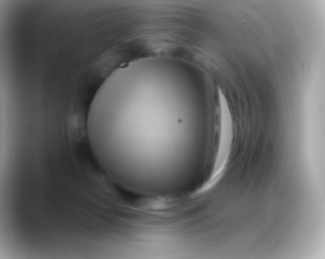 X0000088490182200706051425