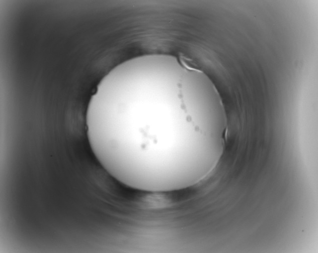 X0000088490183200706051425