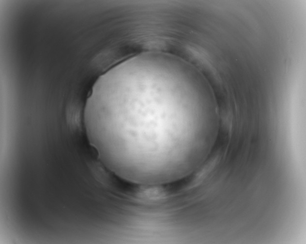 X0000088490185200706051425