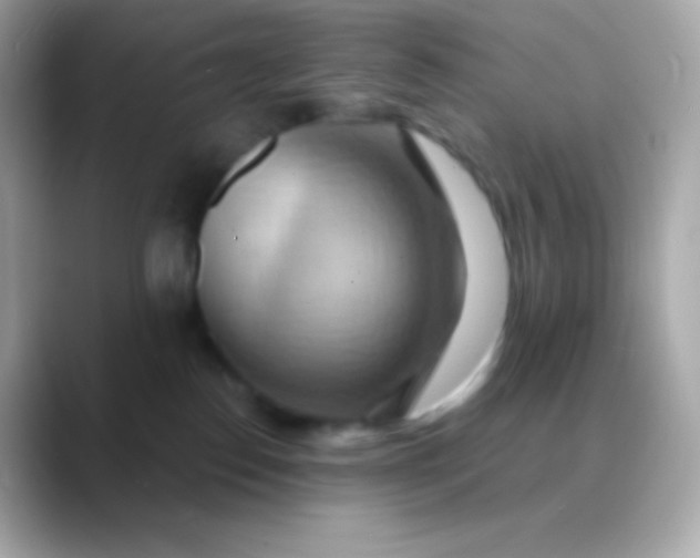 X0000088490186200706051425