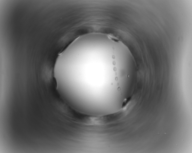 X0000088490188200706051425