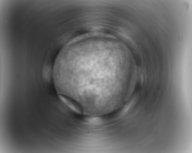 X0000088490189200706051425