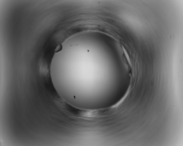 X0000088490191200706051425