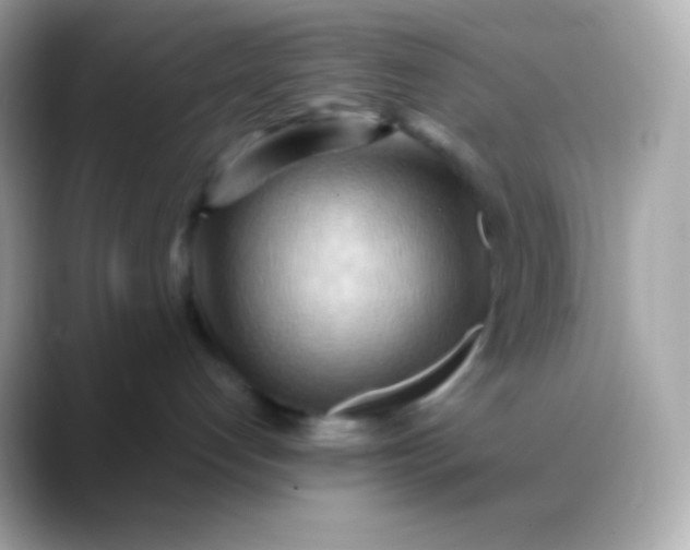 X0000088490192200706051425