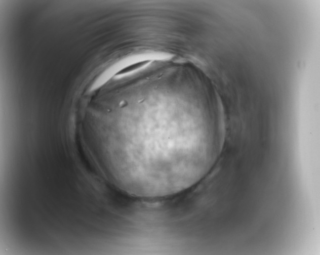 X0000088490194200706051424