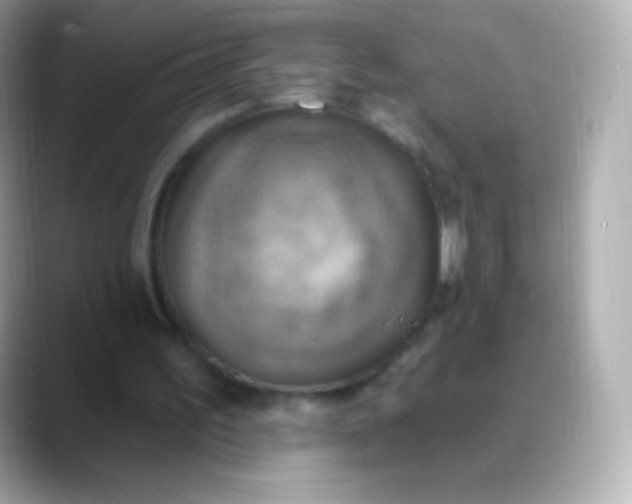 X0000088490195200706051424