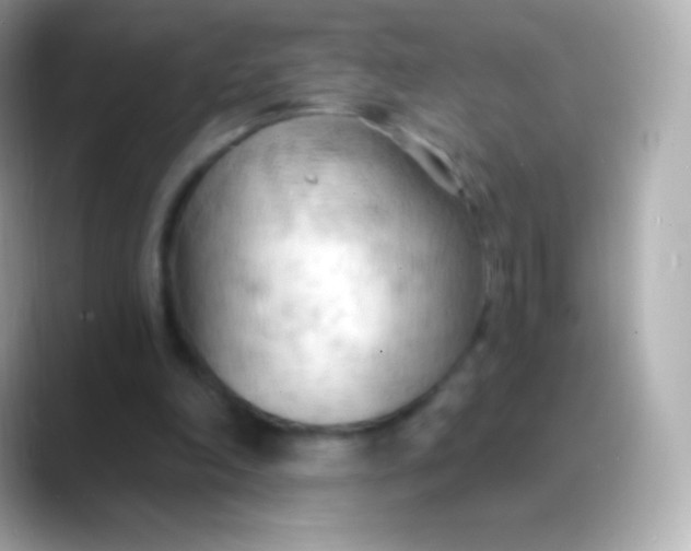 X0000088490198200706051424