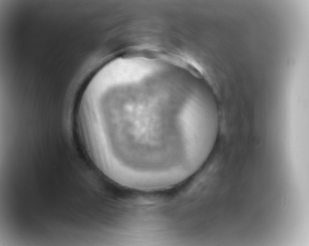 X0000088490199200706051424