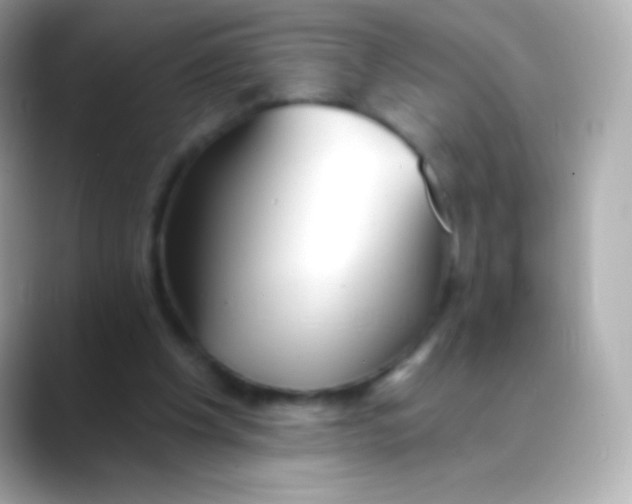 X0000088490201200706051424