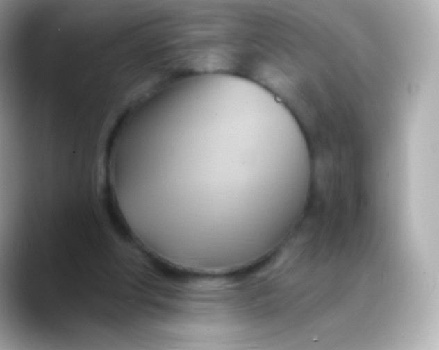 X0000088490202200706051424