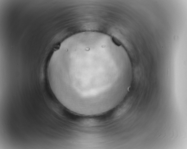 X0000088490203200706051424