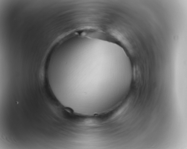 X0000088490204200706051424