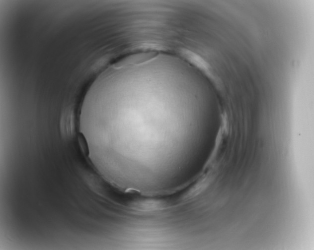 X0000088490205200706051424