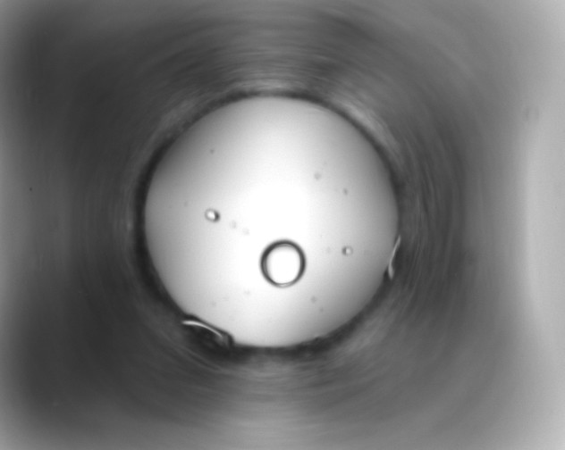 X0000088490207200706051424