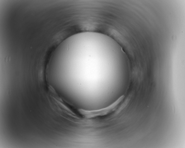 X0000088490209200706051424