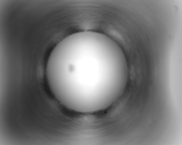 X0000088490210200706051424