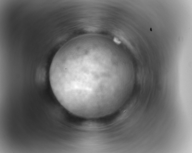 X0000088490211200706051424