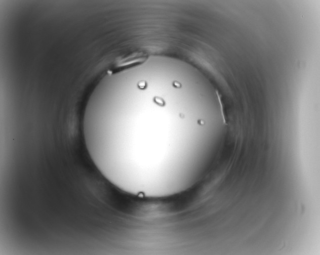 X0000088490212200706051424