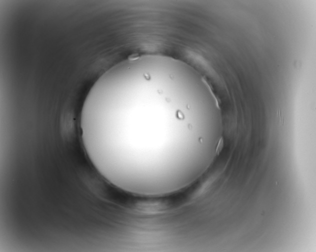 X0000088490213200706051424