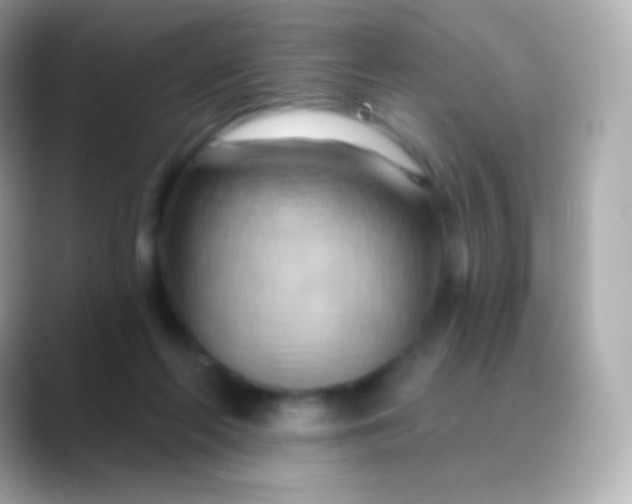 X0000088490214200706051424