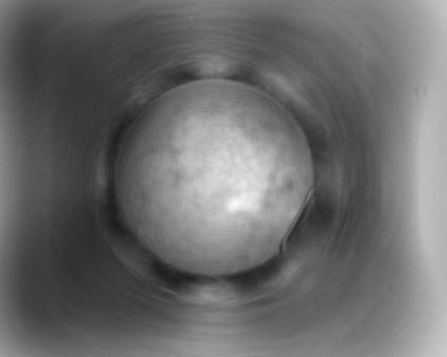 X0000088490215200706051424