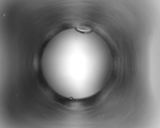 X0000088490216200706051424