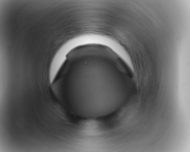 X0000088490219200706051424