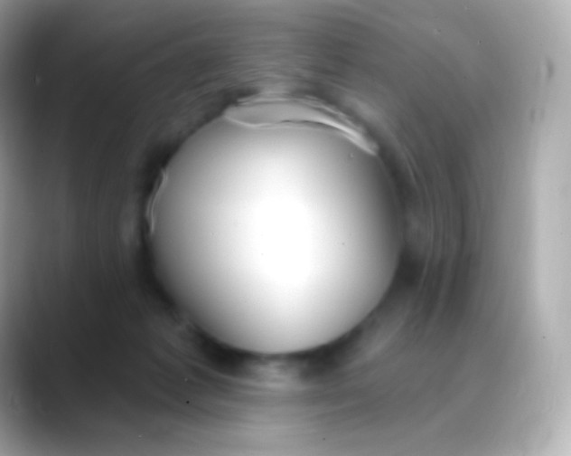 X0000088490221200706051424