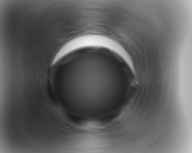 X0000088490223200706051424