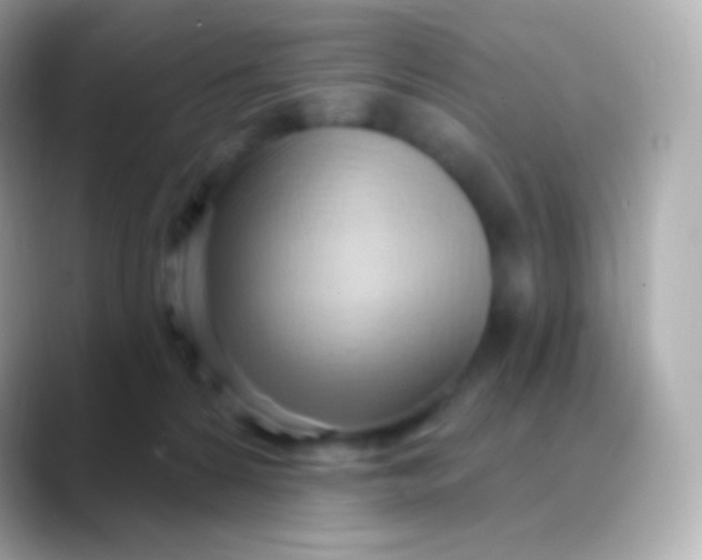 X0000088490224200706051424