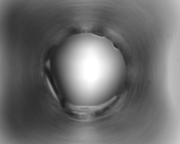 X0000088490225200706051424