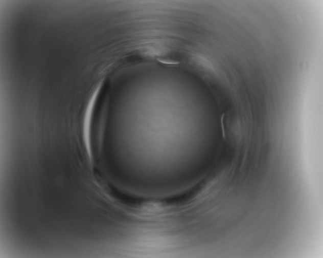 X0000088490227200706051424