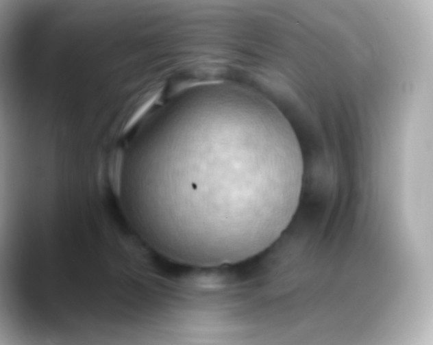 X0000088490228200706051424