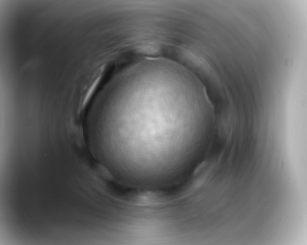 X0000088490229200706051424