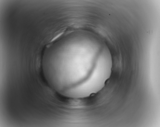 X0000088490230200706051424