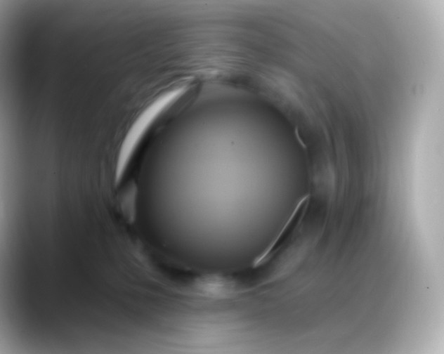 X0000088490231200706051424