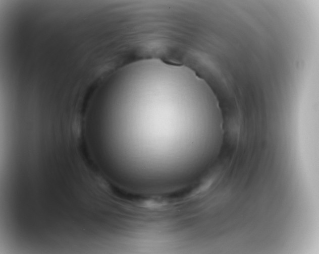 X0000088490232200706051424