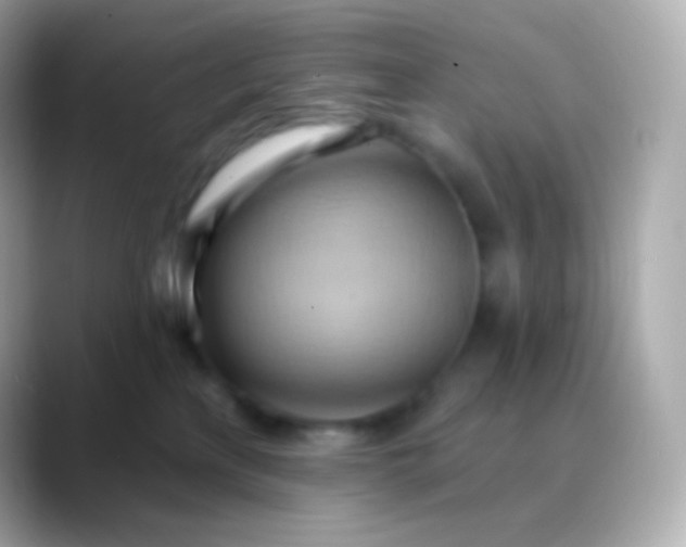 X0000088490233200706051424