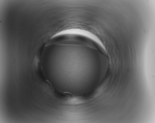 X0000088490235200706051424