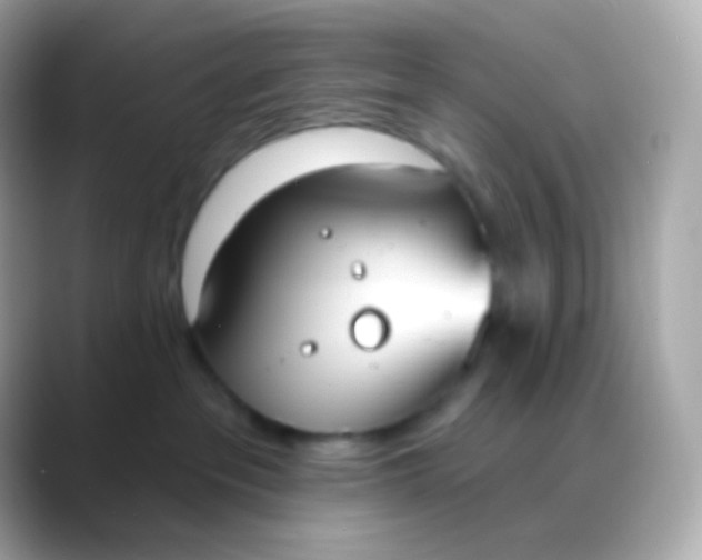 X0000088490237200706051424