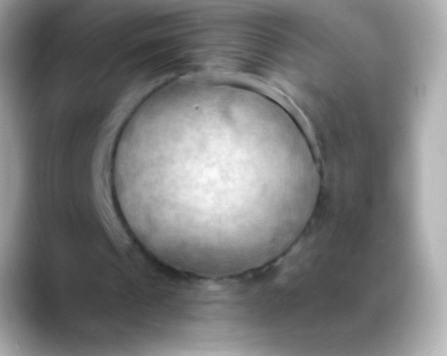 X0000088490241200706051423