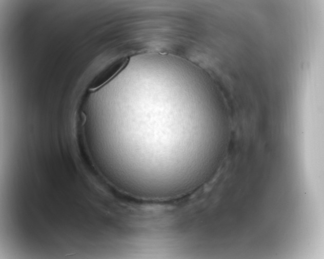 X0000088490242200706051423