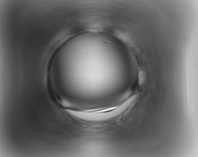 X0000088490243200706051423