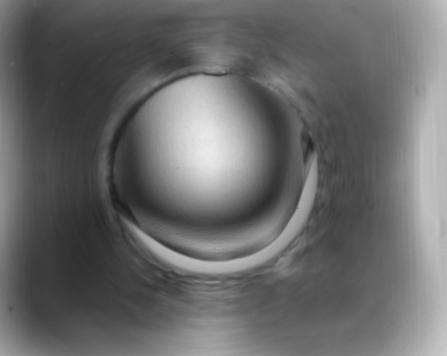 X0000088490244200706051423