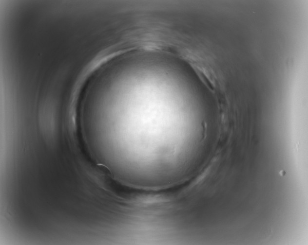 X0000088490246200706051423