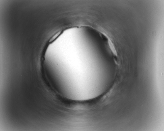 X0000088490248200706051423